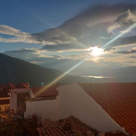 Tholos Hotel Delphi Zewnętrze zdjęcie